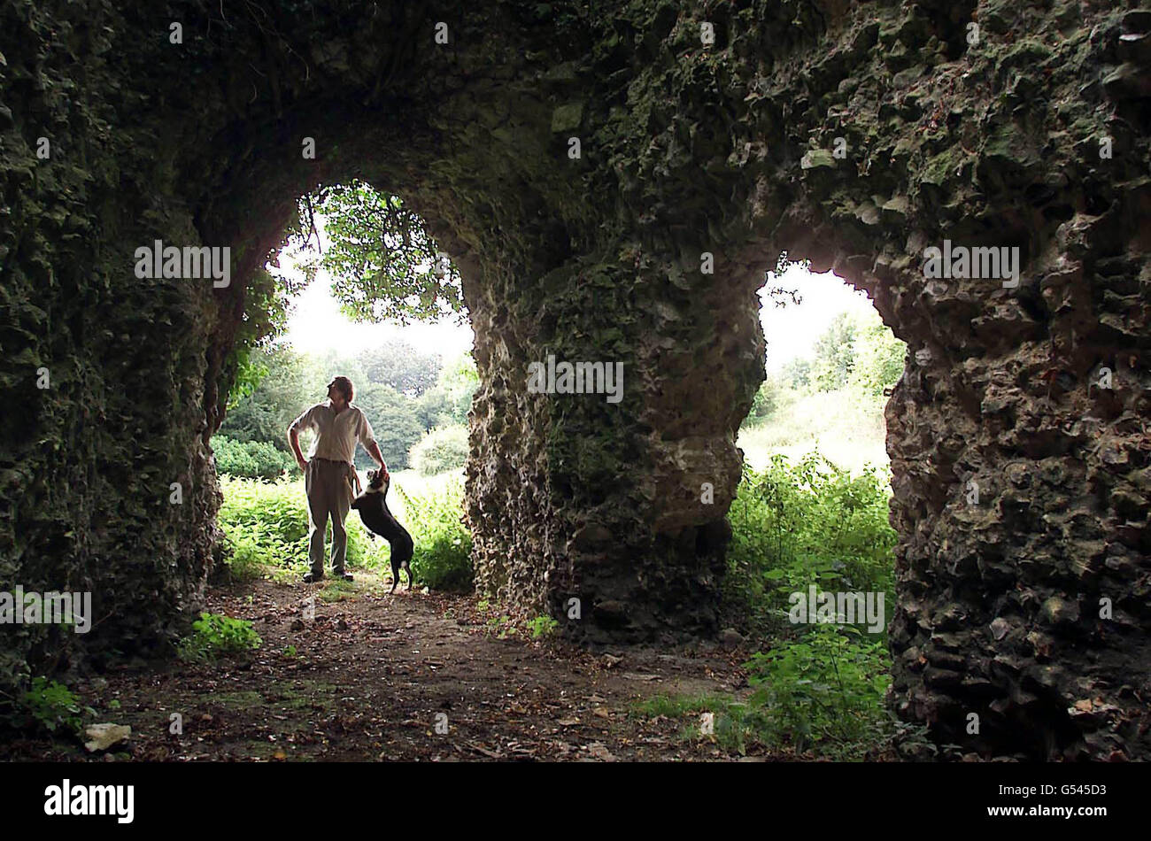 Le rovine del Castello di Merdon sulla tenuta di Bursley in Hampshire, che va in vendita per un fresco 18.5 milioni di euro. La vendita comprende 3,800 ettari di terreno agricolo vicino Winchester, boschi antichi, tre casali, due monumenti antichi. *... un intero borgo, e uno dei più antichi cricket club del paese. La tenuta di Bursley sarà la più grande vendita singola della proprietà in Inghilterra dal 1998 e malgrado la mancanza di una casa principale i fornitori si aspettano l'interesse dalle stelle del rock e dai milionari di .com. Sfortunatamente, il maniero della tenuta di 5,000 acri è stato venduto separatamente nel 1961, ma il Foto Stock