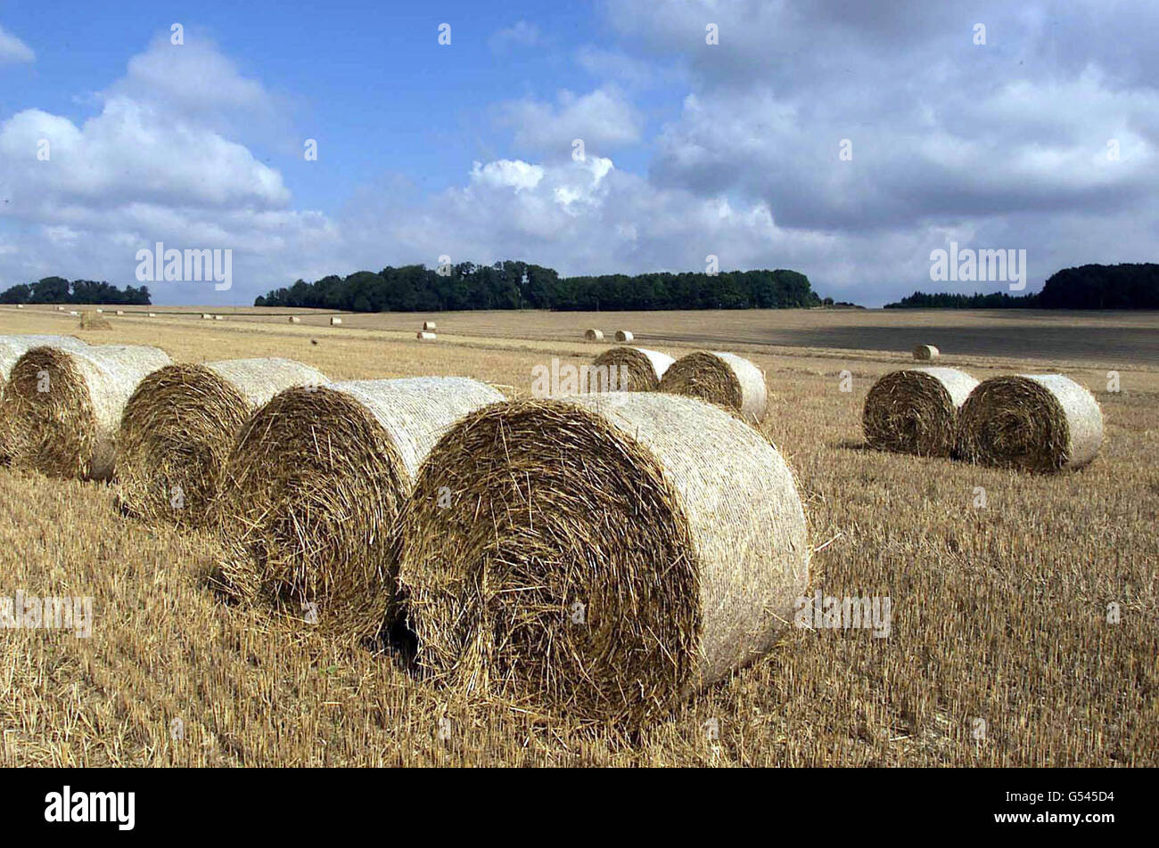 La tenuta di Bursley in Hampshire, che va in vendita per un fresco 18.5 milione. La vendita comprende 3,800 ettari di terreno agricolo vicino Winchester, boschi antichi, tre casali, due monumenti antichi, un intero borgo. *... e uno dei club di cricket più antichi del paese. La tenuta di Bursley sarà la più grande vendita singola della proprietà in Inghilterra dal 1998 e malgrado la mancanza di una casa principale i fornitori si aspettano l'interesse dalle stelle del rock e dai milionari di .com. Purtroppo, il maniero della tenuta di 5,000 acri è stato venduto separatamente nel 1961, ma i venditori prevedono un nuovo palazzo Foto Stock