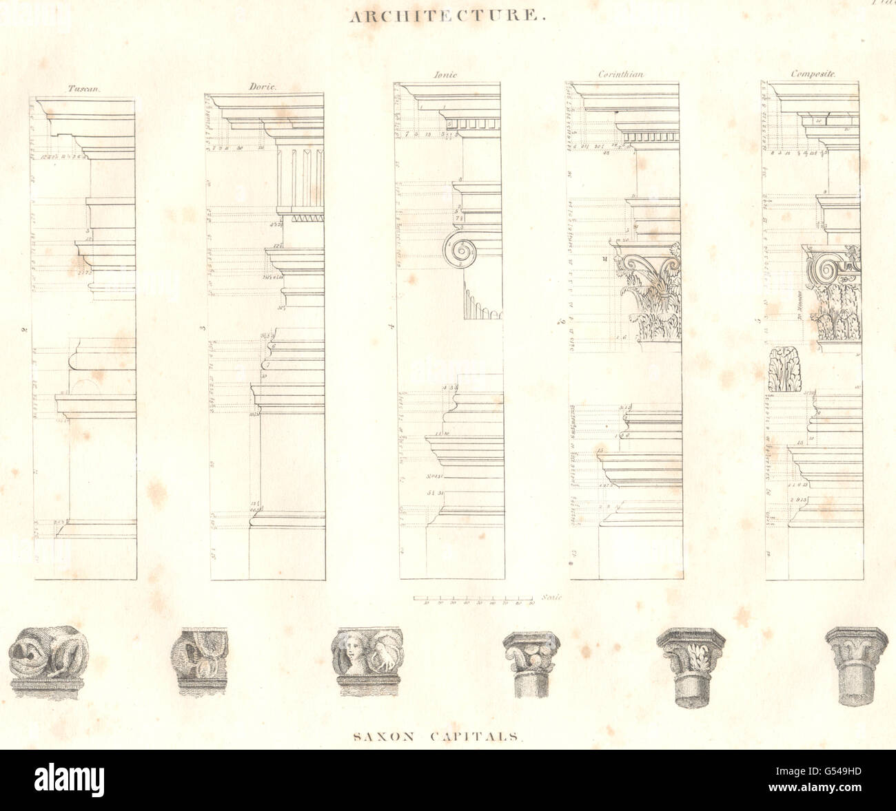 Architettura: dorico toscano ionico composito corinzio; capitelli sassone, 1830 Foto Stock