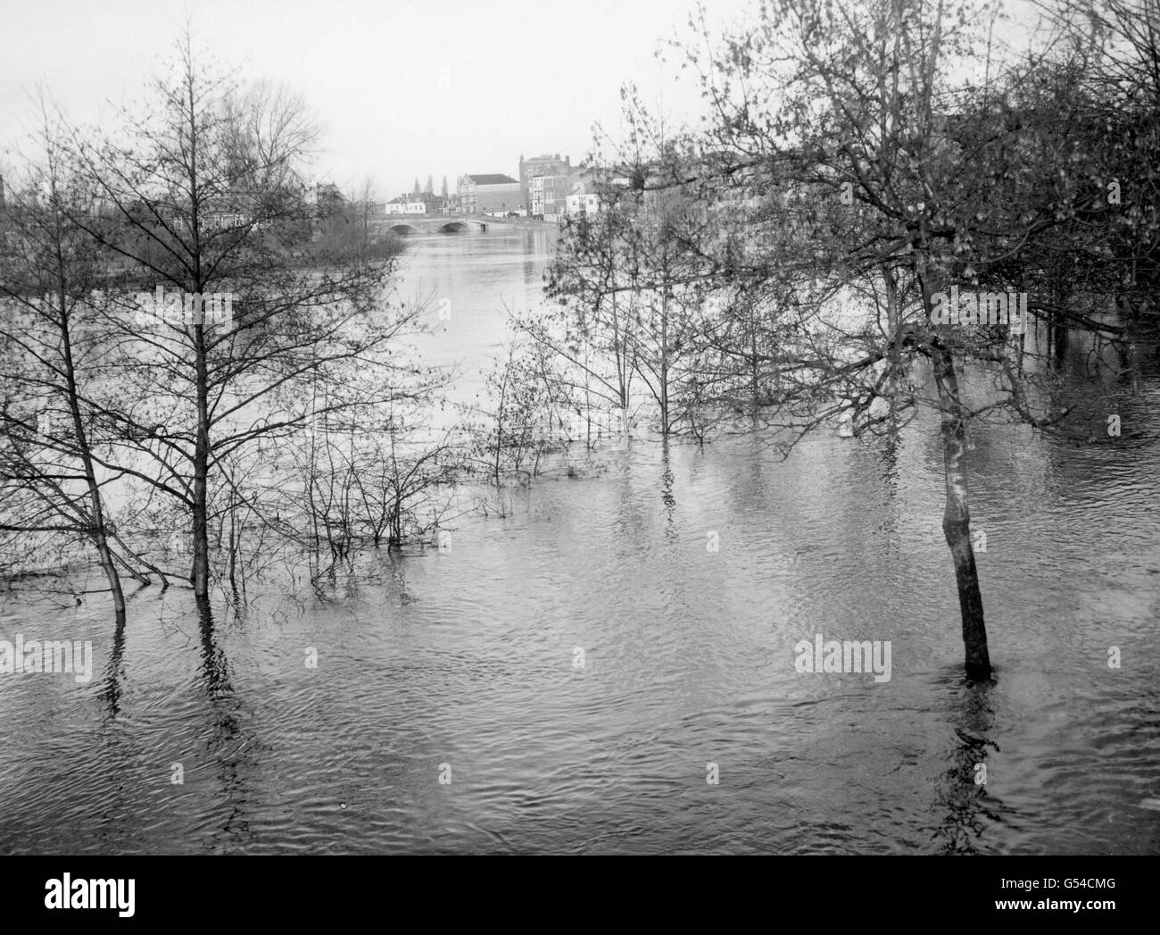L'acqua di inondazione sorge in Worcester mentre il fiume Severn scoppiò sono le banche a seguito della forte caduta della pioggia Foto Stock