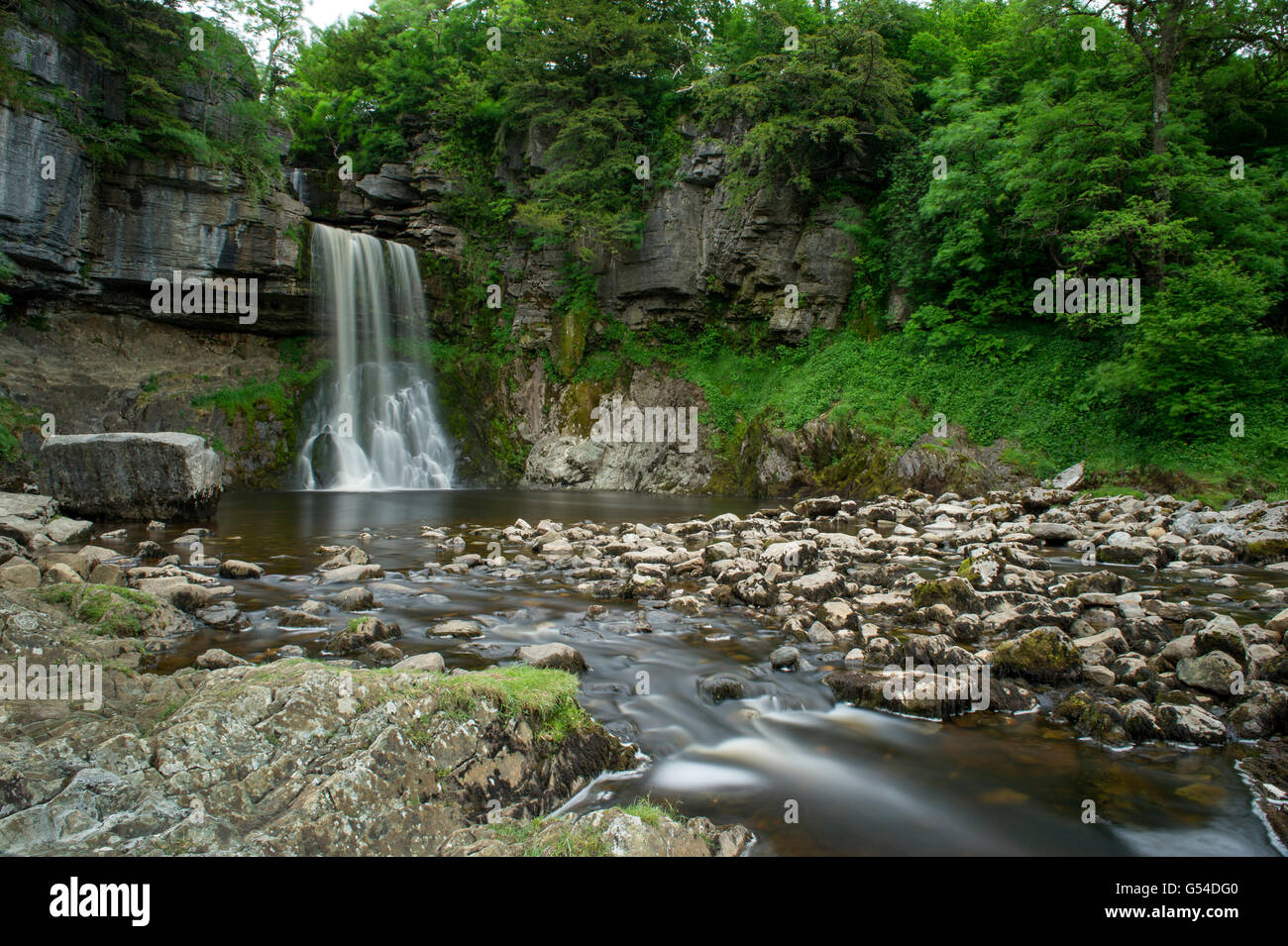 Una lunga esposizione di Thornton vigore cascata sul fiume Twiss lungo la cascata Ingleton Trail nel North Yorkshire Dales National Park Foto Stock