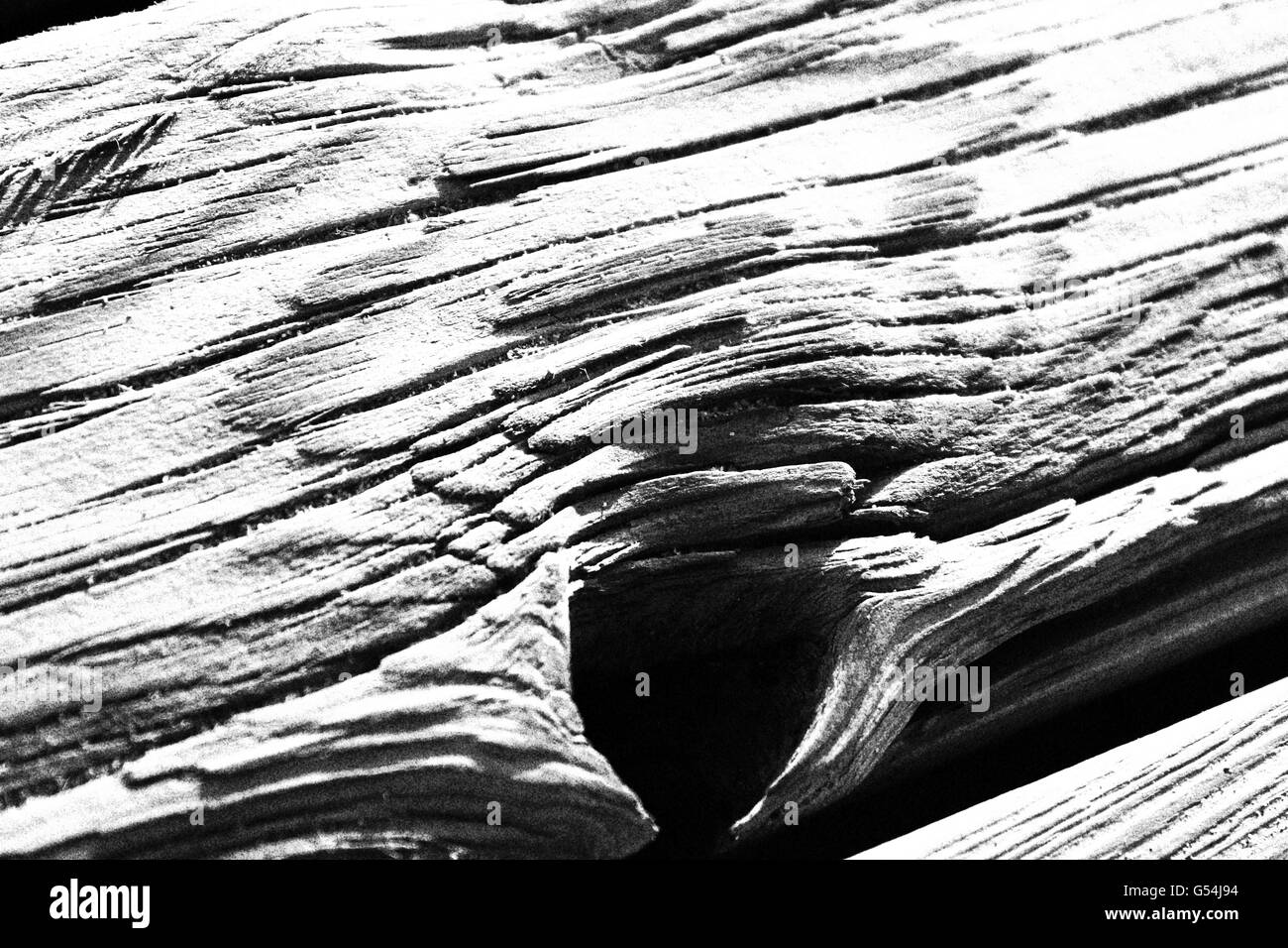 Weathered driftwood in bianco e nero Foto Stock