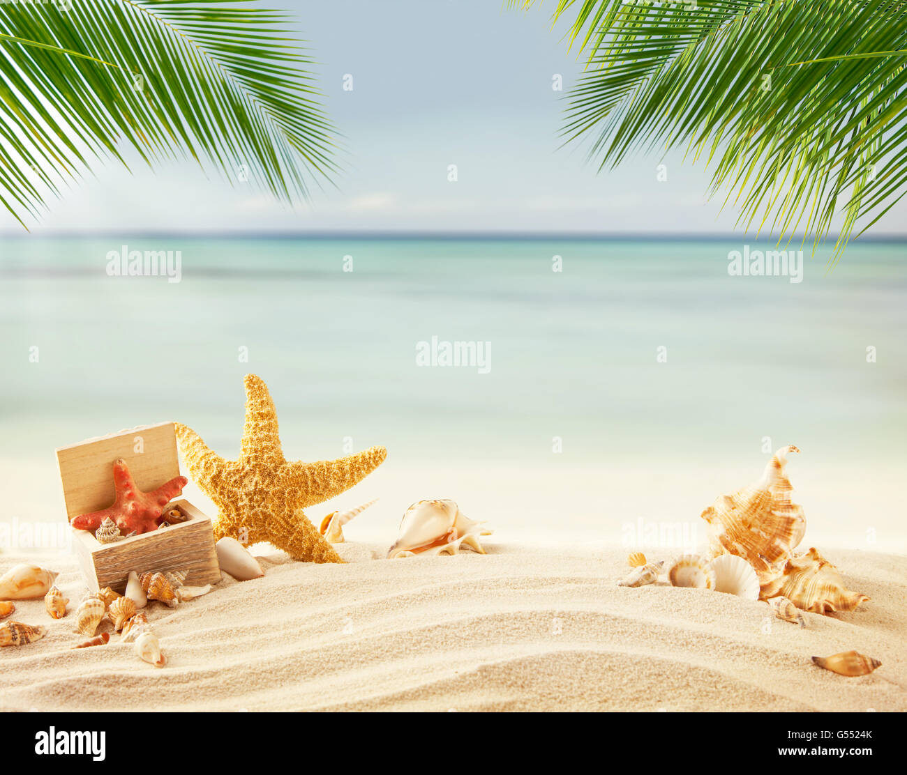 Conchiglie sulla spiaggia, mare di sfocatura sullo sfondo. Estate esotico concetto di rilassamento. Copyspace per testo Foto Stock