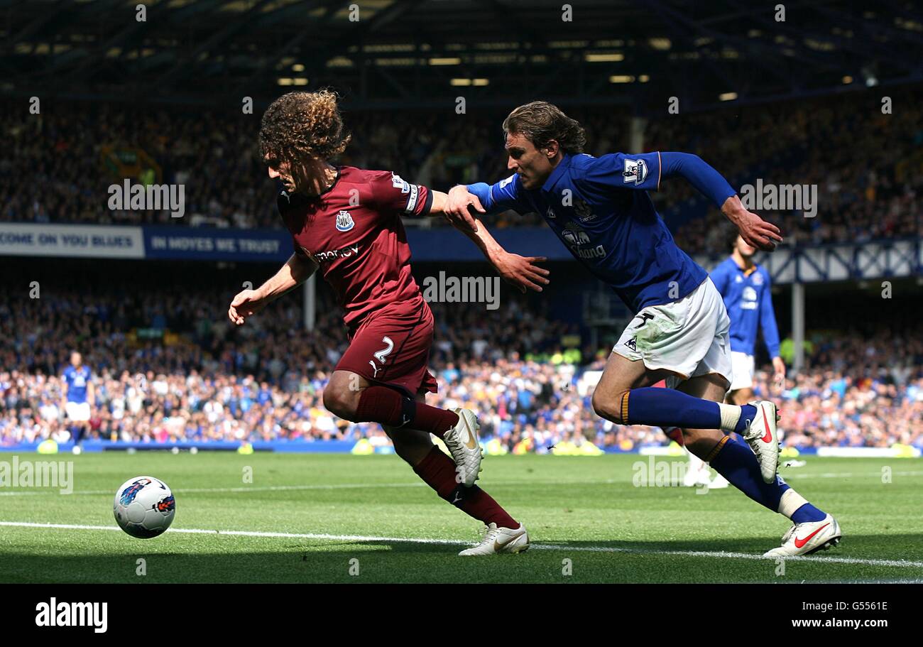 Calcio - Barclays Premier League - Everton / Newcastle United - Goodison Park. Fabricio Cococcini (a sinistra) e Nikica Jelavic (a destra) di Everton United combattono per la palla Foto Stock