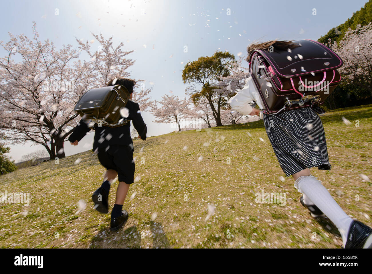 Il giapponese gli studenti della scuola elementare e fiori di ciliegio Foto Stock