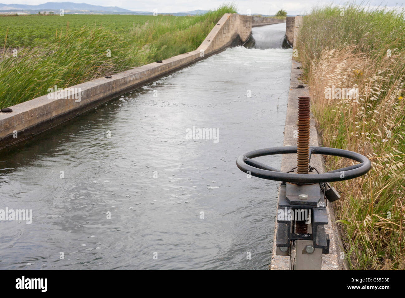 Area di paratoia in enorme canale di irrigazione di alta Guadiana o Vegas Altas, Estremadura, Spagna Foto Stock