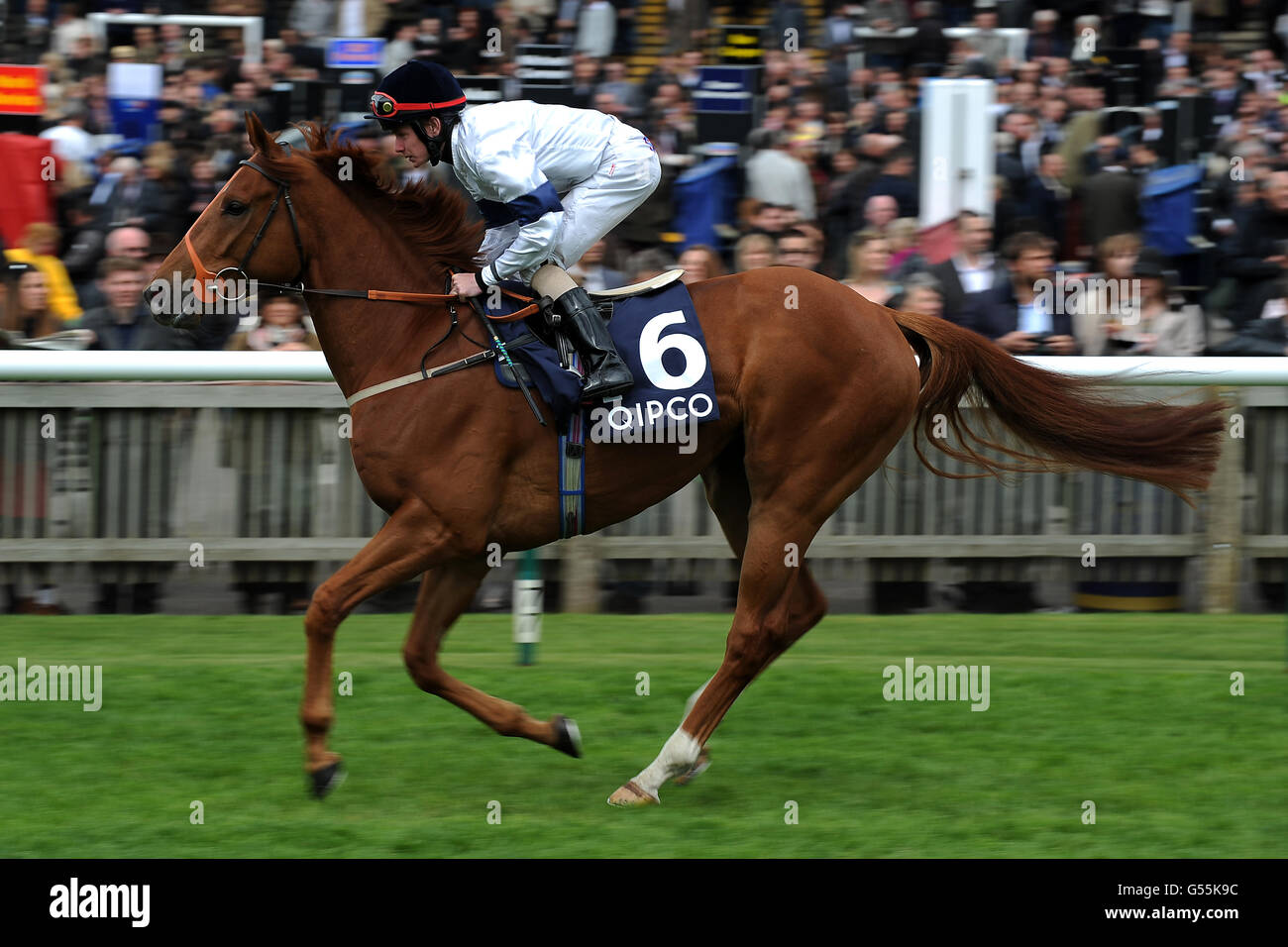 Horse Racing - La Guinea QIPCO Festival - QIPCO 2000 Guinea giorno - Newmarket Racecourse Foto Stock