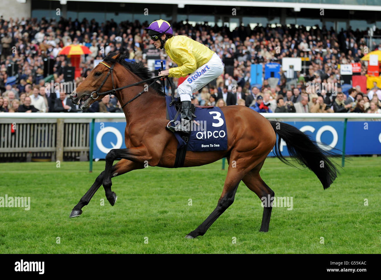 Horse Racing - La Guinea QIPCO Festival - QIPCO 2000 Guinea giorno - Newmarket Racecourse Foto Stock