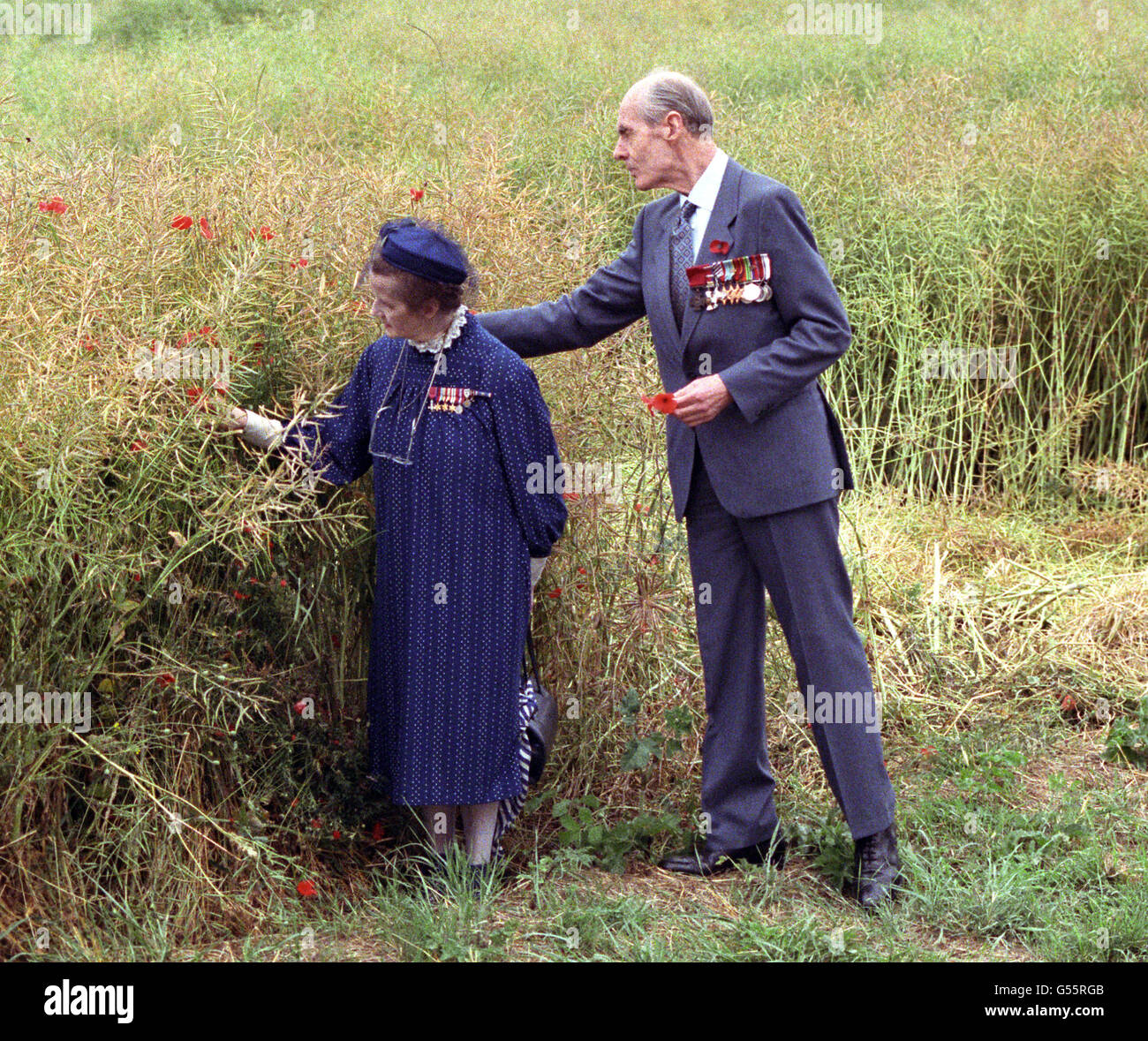 Guerre e conflitti - Seconda Guerra Mondiale - eroi - Gruppo capitano Leonard Cheshire - Somme Battlefield Foto Stock
