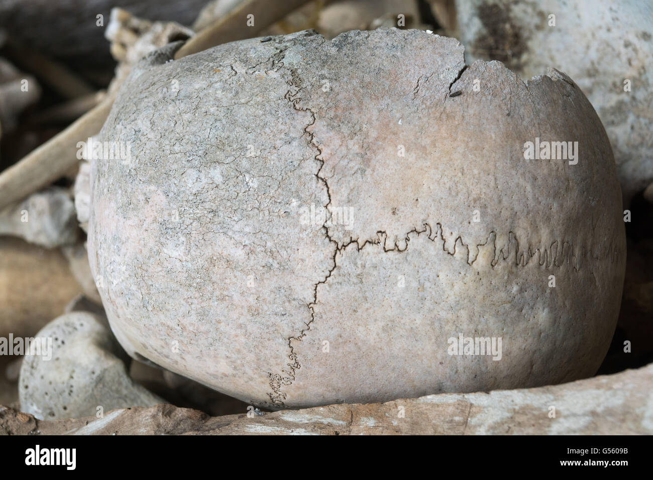 Indonesia Sulawesi Selatan, Toraja utara, Torajaland, close-up di un cranio, tombe di roccia, corpo morto Foto Stock