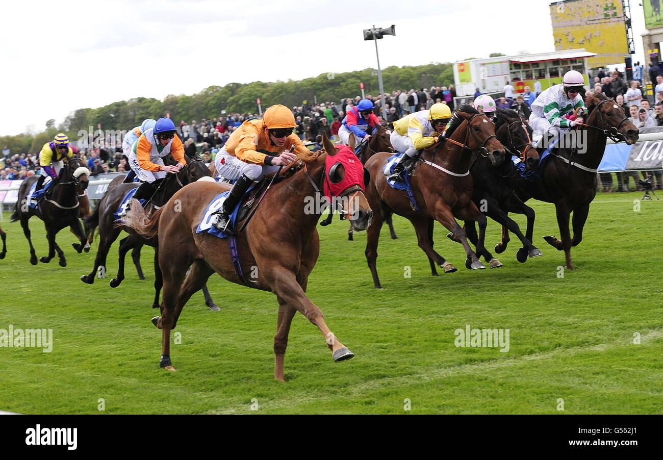 Horse Racing - 2012 Dante Festival - Tattersalls Musidora Stakes giorno - York Racecourse Foto Stock