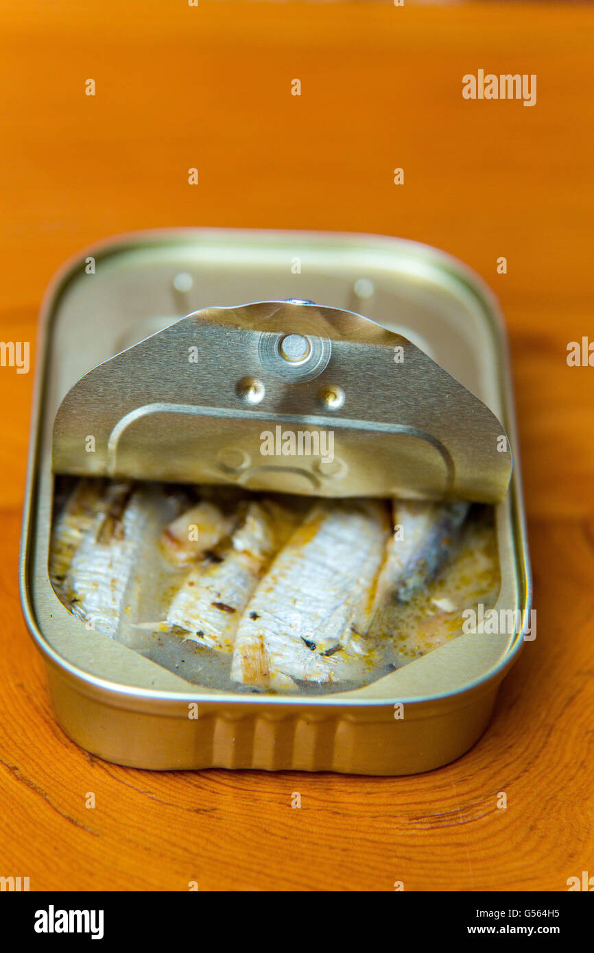 Conserve di sardine in springwater Foto Stock