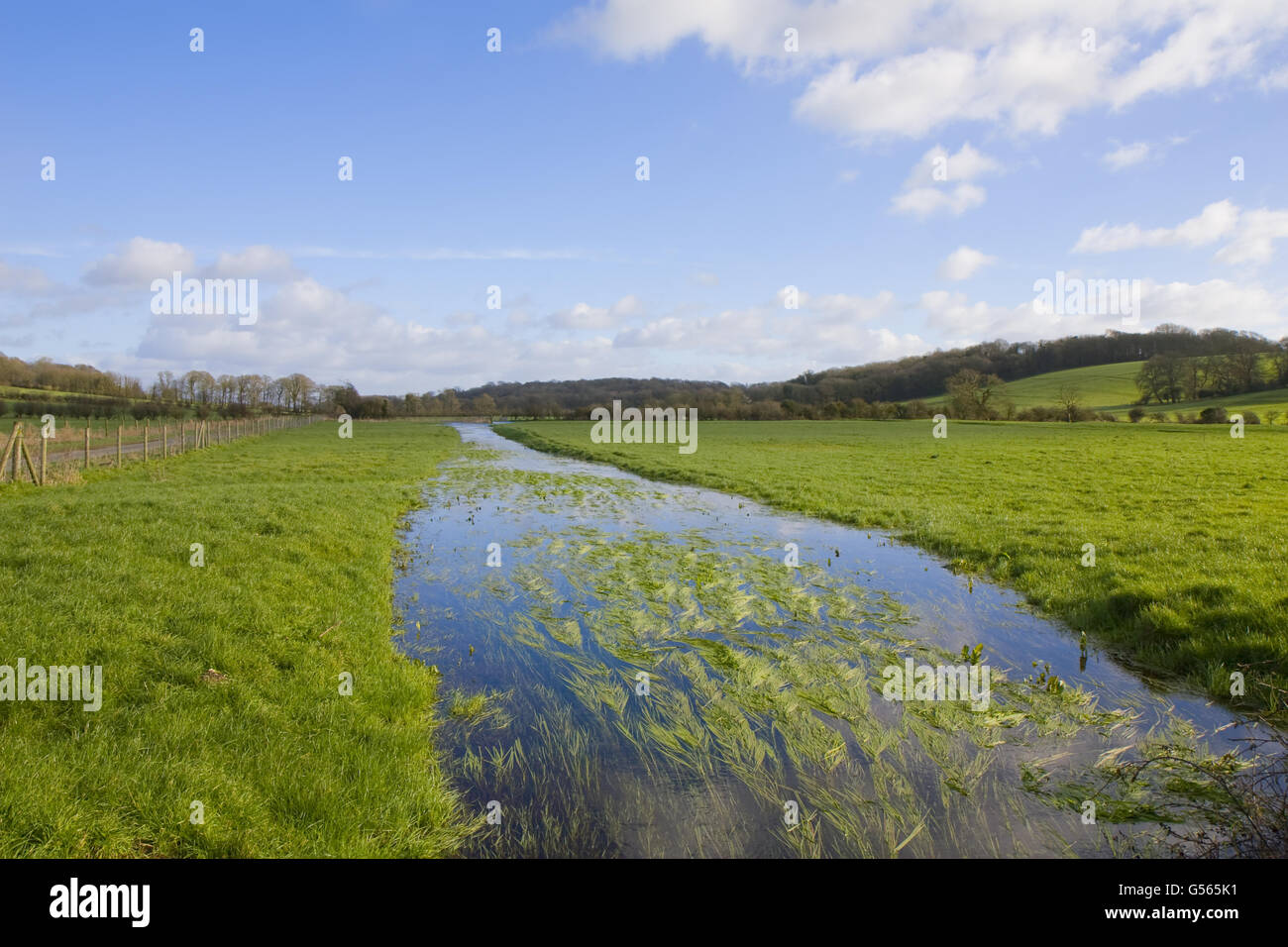 "Winterborne' flusso stagionale che fluisce attraverso il pascolo, vicino Winterborne Herringston, Dorchester Dorset, Inghilterra, Gennaio Foto Stock