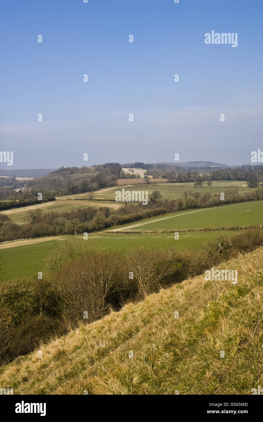 Panorama da chalk scarpata con siepi, boschi e campi a seminativi, Cerne Valley, Dorset, Inghilterra, Marzo Foto Stock