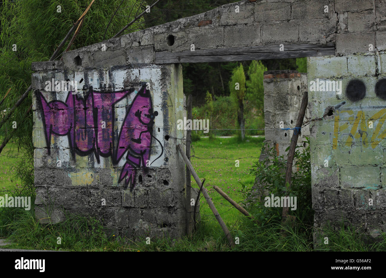 Un muro di cemento in un edificio fatiscente in una fattoria in Cotacachi, Ecuador Foto Stock