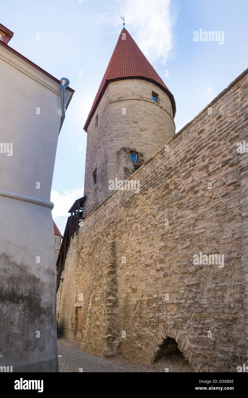 Una torre difensiva delle mura della città di Tallinn Foto Stock