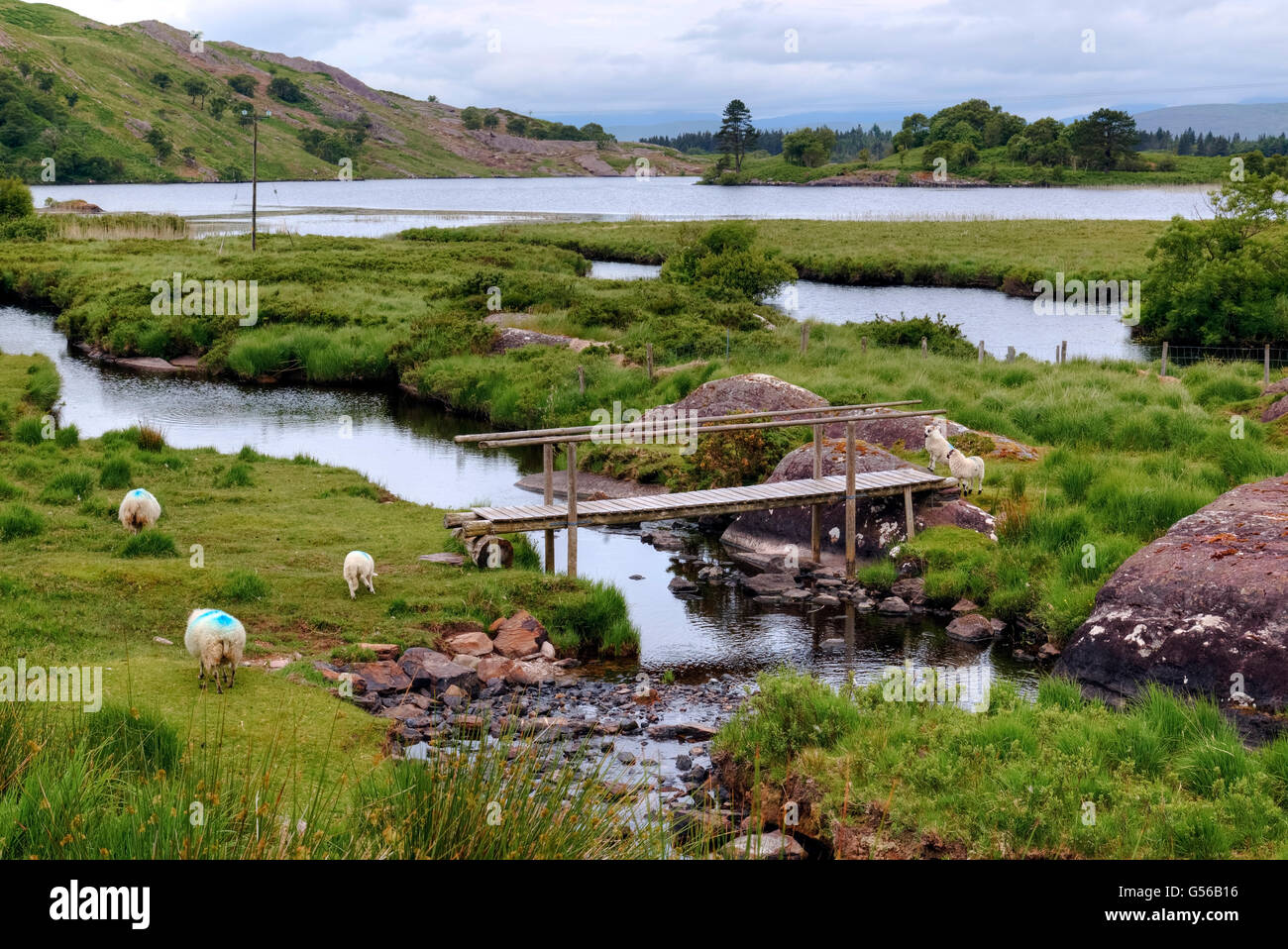 Parco Gleninchaquin, Cloonee Lough, penisola di Beara, nella contea di Kerry, Irlanda Foto Stock
