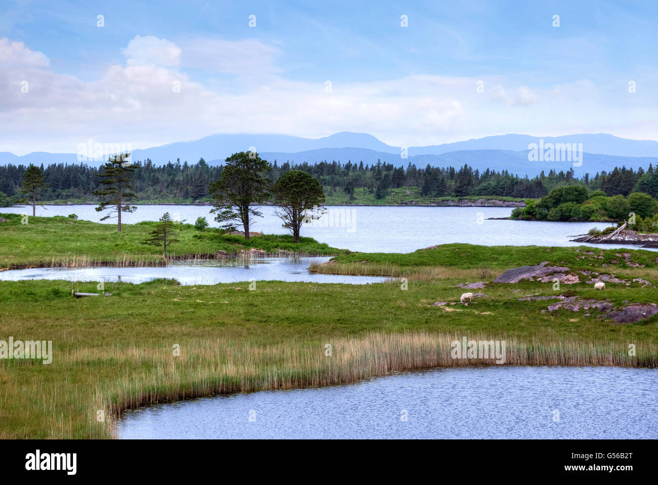 Parco Gleninchaquin, Cloonee Lough, penisola di Beara, nella contea di Kerry, Irlanda Foto Stock
