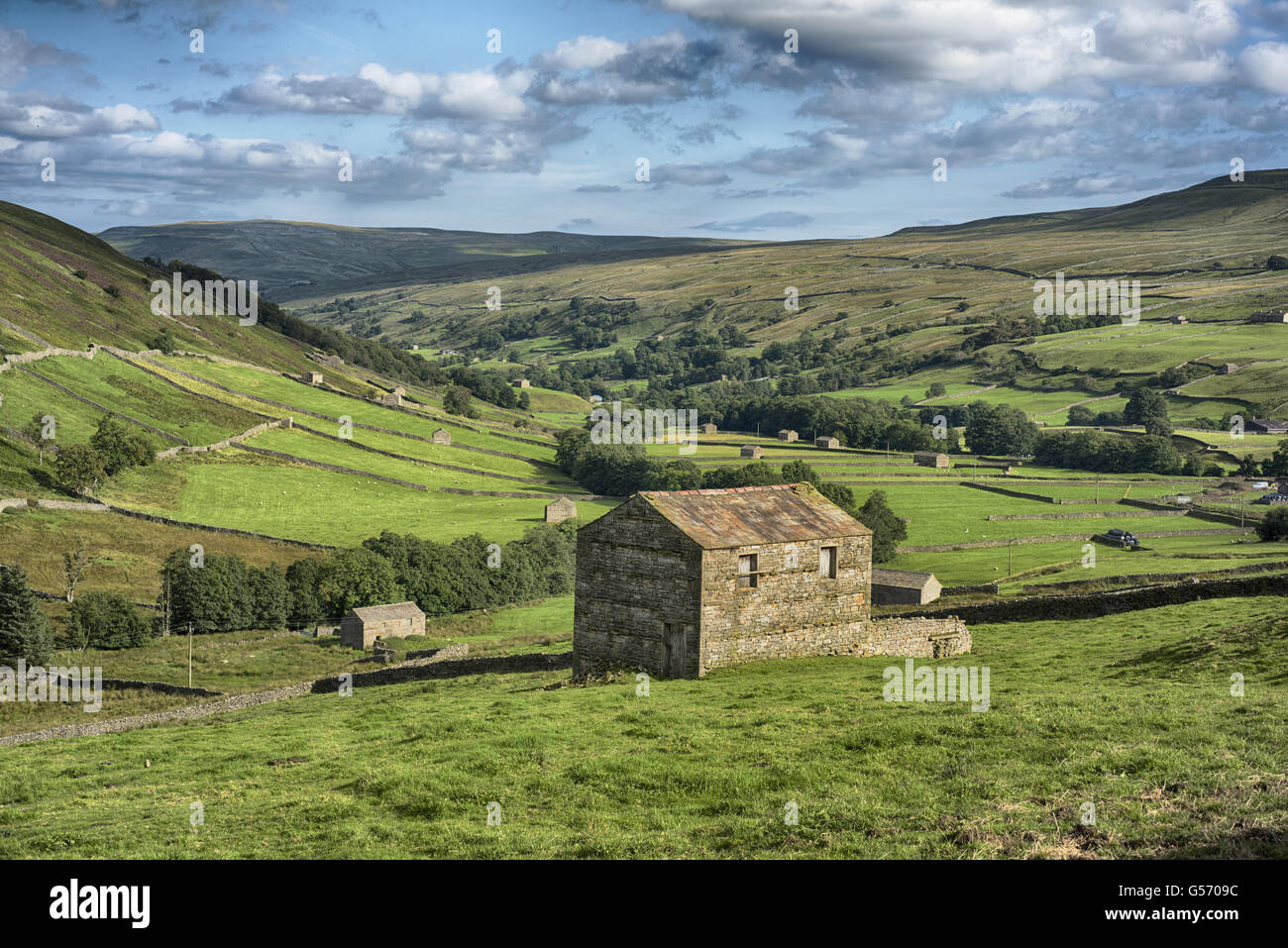Vista di fienili in pietra, campi e stalattite pareti, Thwaite, Swaledale, Yorkshire Dales N.P., North Yorkshire, Inghilterra, Settembre Foto Stock