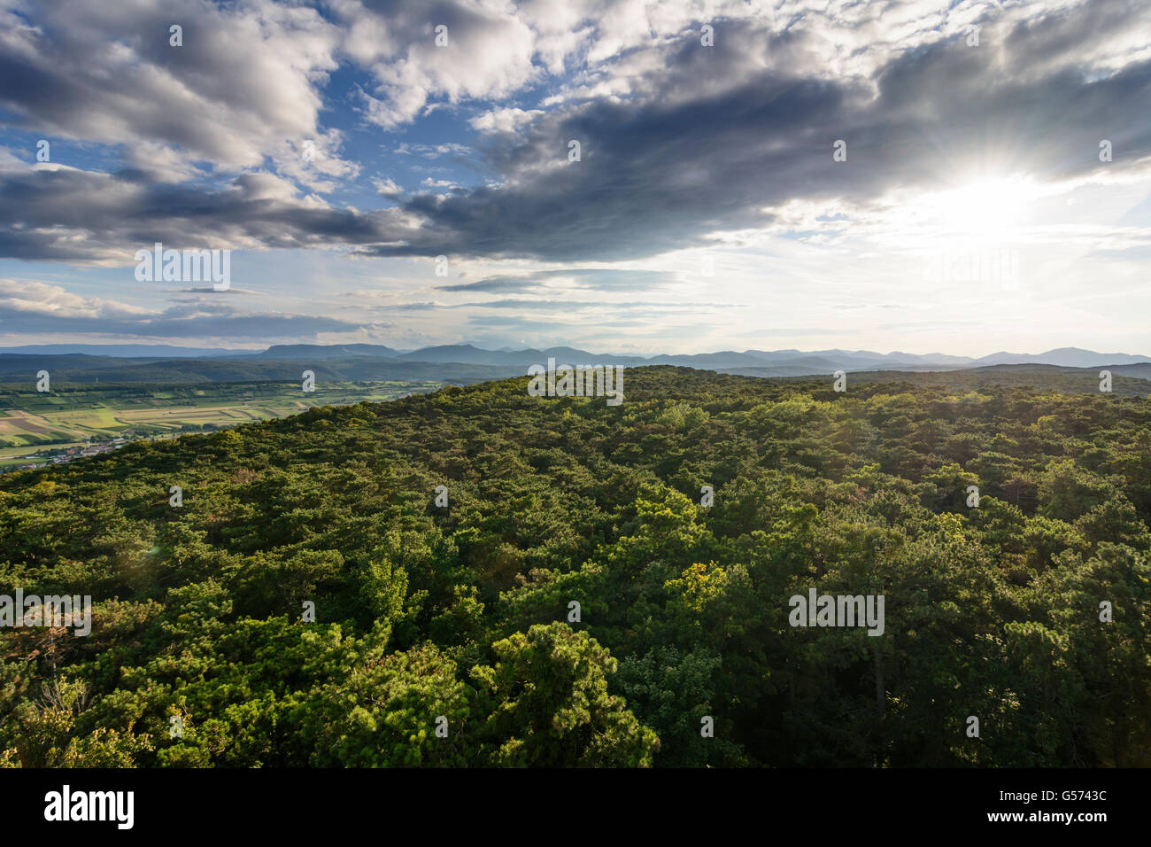 Vista da Harzberg torre di osservazione(Jubiläumswarte, Harzbergturm) per il montaggio di Monteneve, Bad Vöslau, Austria, Niederösterreich, L Foto Stock