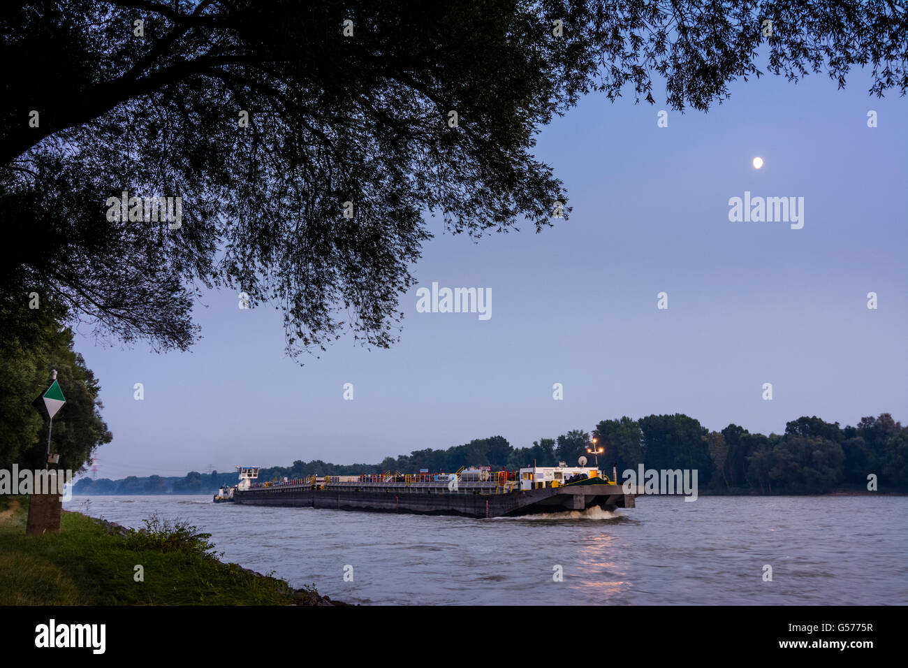 Nave da carico, il Danubio, notte di luna piena, Nationalpark Parco Nazionale Donauauen, Austria, Niederösterreich, Bassa Austria, Donau Foto Stock