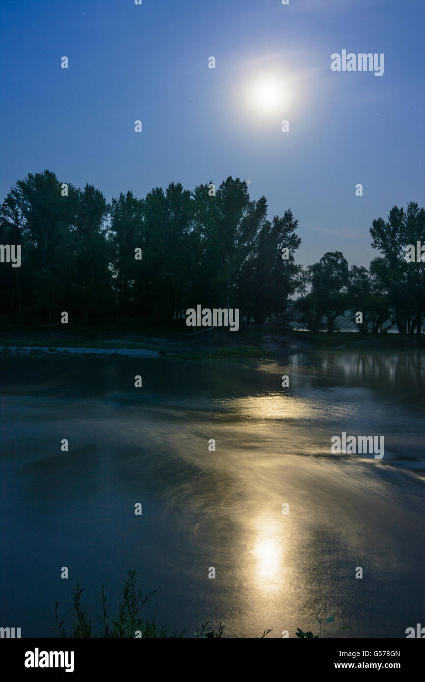 Lanca del Danubio, luna piena, Nationalpark Parco Nazionale Donauauen, Austria, Niederösterreich, Bassa Austria, Donau Foto Stock