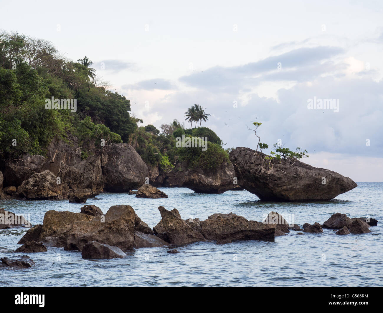 Flying Fish Cove costa rocciosa, Isola di Natale Foto Stock
