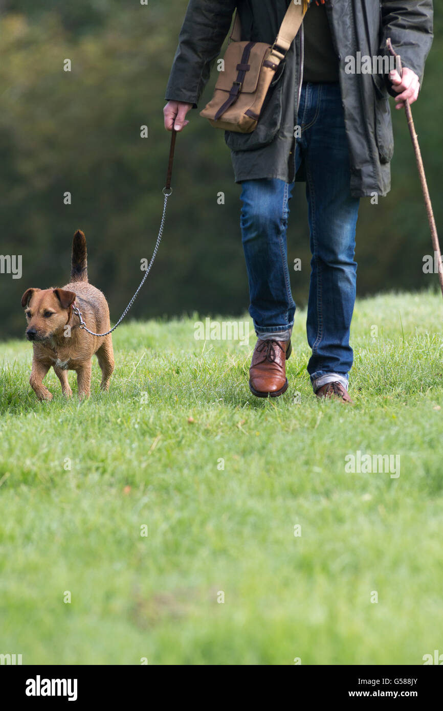 Cintura vista verso il basso di un uomo a piedi il suo cane in un campo Foto Stock