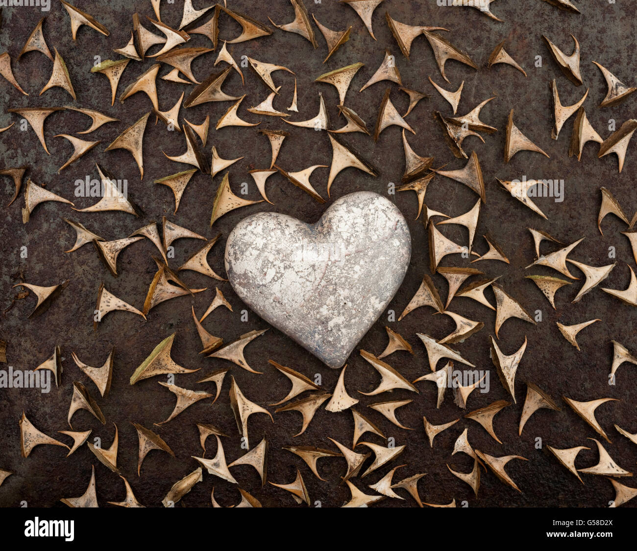 Antiquariato effetto argento cuore circondato da spine di rose su un marrone sfondo arrugginito Foto Stock