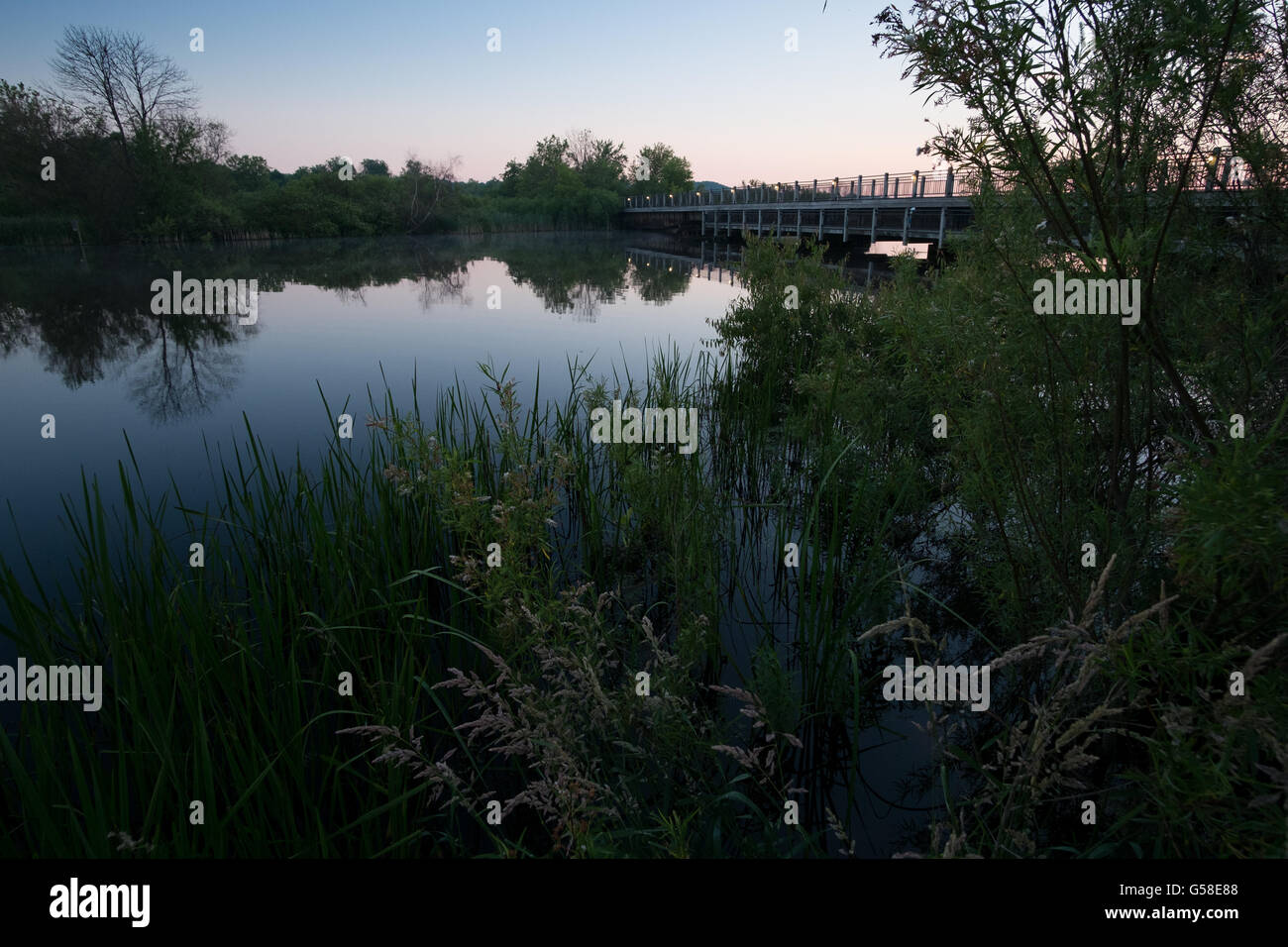 La pesca ponte sopra il Fiume Bianco tra Whitehall e Montague, Michigan all alba di una bella mattina di giugno. Foto Stock