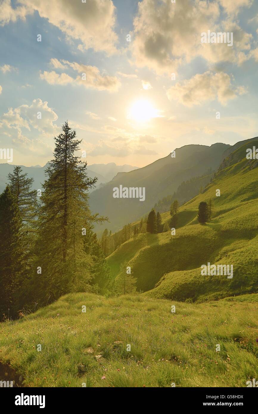 Alpine Falre al tramonto Foto Stock