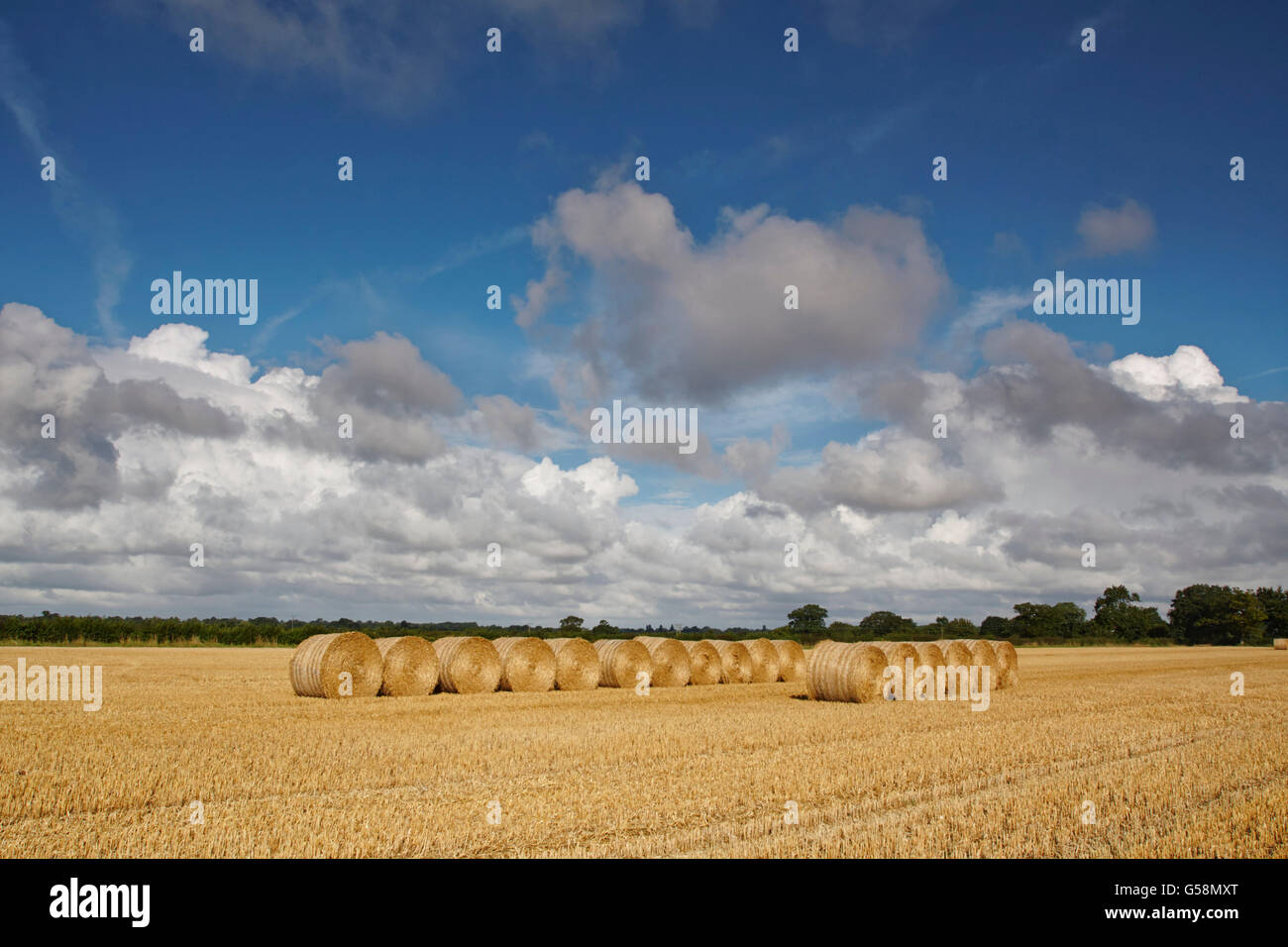 Le balle di paglia in Norfolk Campo di raccolto Foto Stock