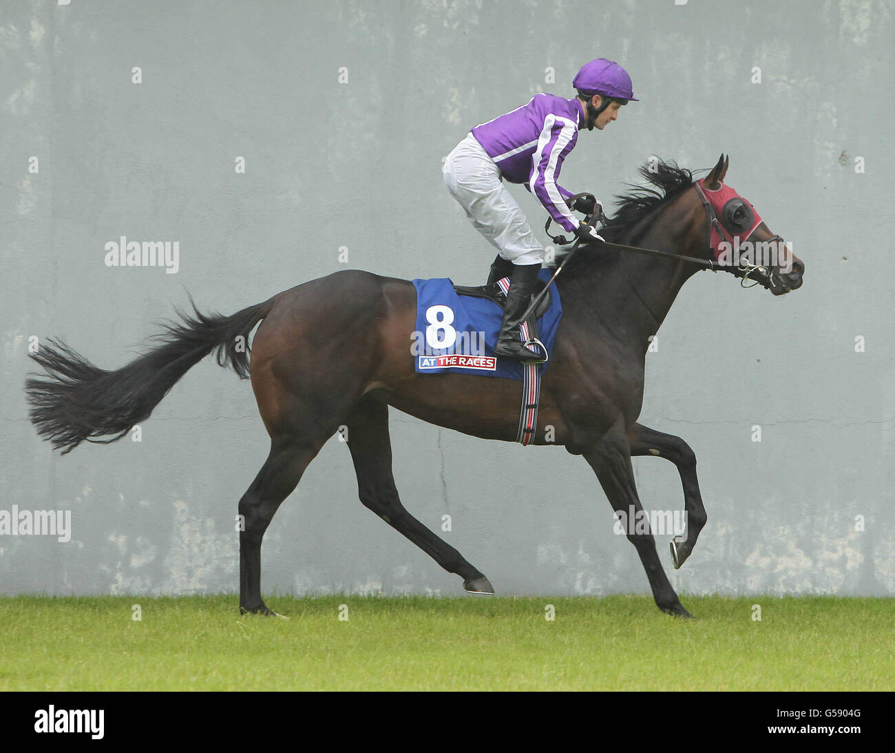 Colm o'Donoghue in offerta andando a postare nelle gare della Curragh Cup durante il Dubai Duty Free Irish Derby Festival 2012 all'Ippodromo di Curragh, Co. Kildare, Irlanda. Foto Stock