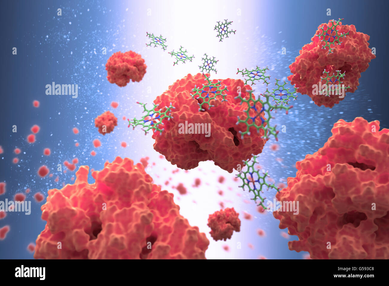L'emoglobina (in rosso) è una proteina del sangue che trasporta ossigeno da degli organi respiratori al resto del corpo Foto Stock