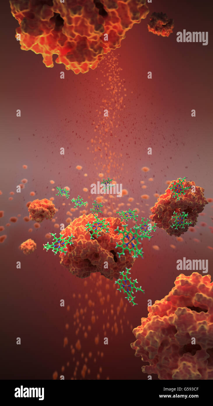 L'emoglobina (in rosso) è una proteina del sangue che trasporta ossigeno da degli organi respiratori al resto del corpo Foto Stock