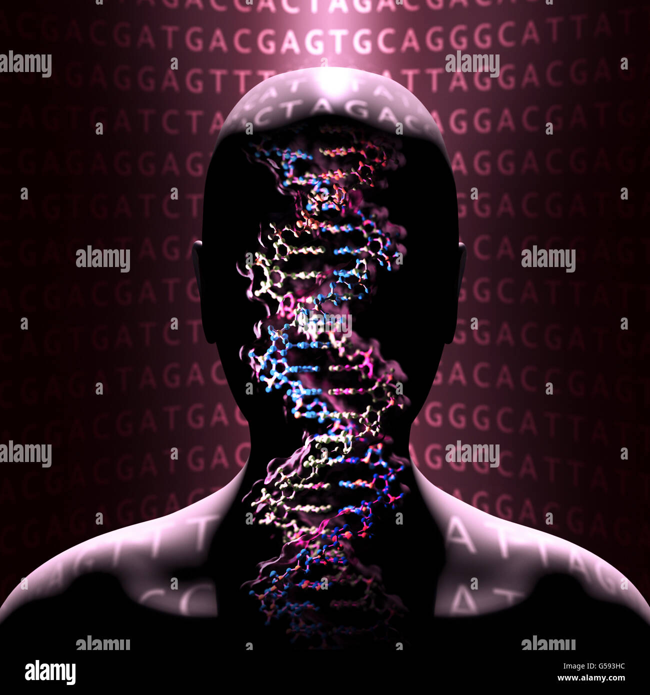 Dettaglio di un DNA a doppia elica molecola. DNA (acido desossiribonucleico) è una molecola che porta la maggior parte del codice genetico Foto Stock