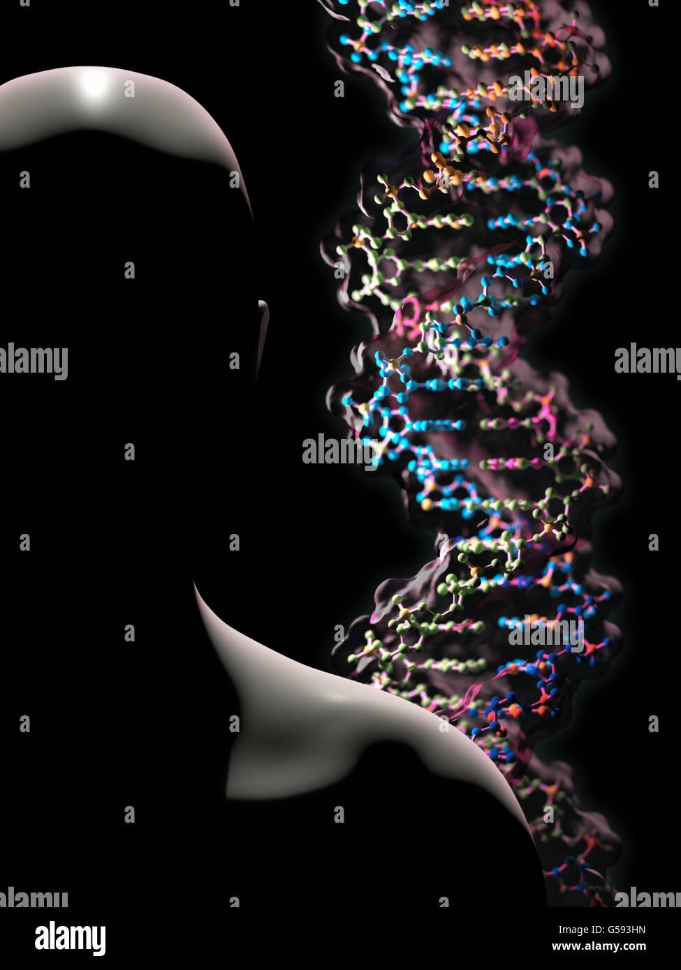 Dettaglio di un DNA a doppia elica molecola. DNA (acido desossiribonucleico) è una molecola che porta la maggior parte del codice genetico Foto Stock