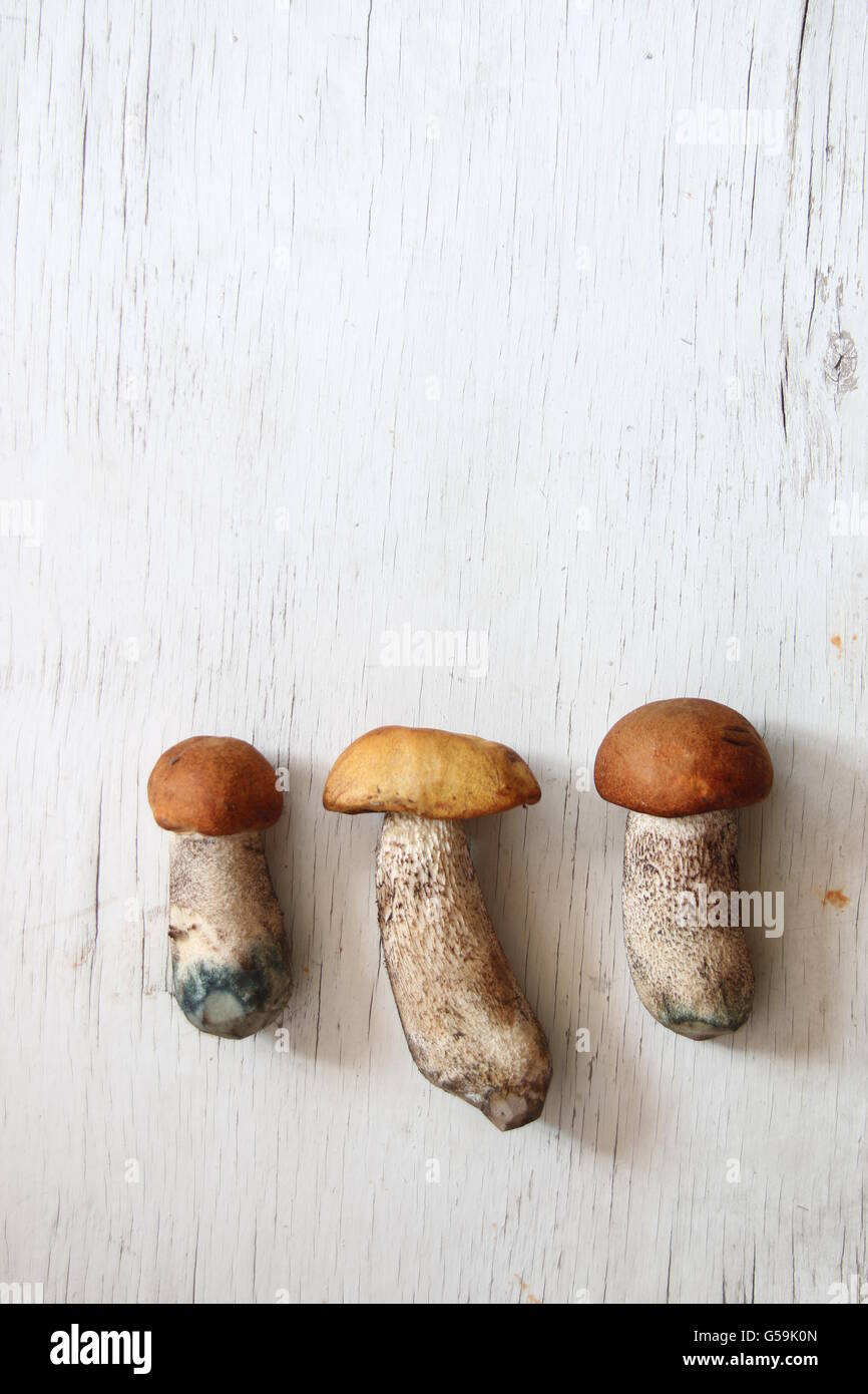 I funghi selvatici sul tavolo, sfondo alimentare Foto Stock