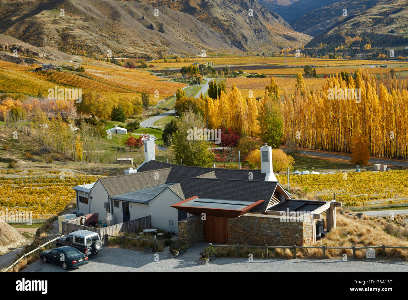 Il Ristorante Cantina, Mt difficoltà vigneto, Bannockburn, vicino a Cromwell di Central Otago, Isola del Sud, Nuova Zelanda Foto Stock