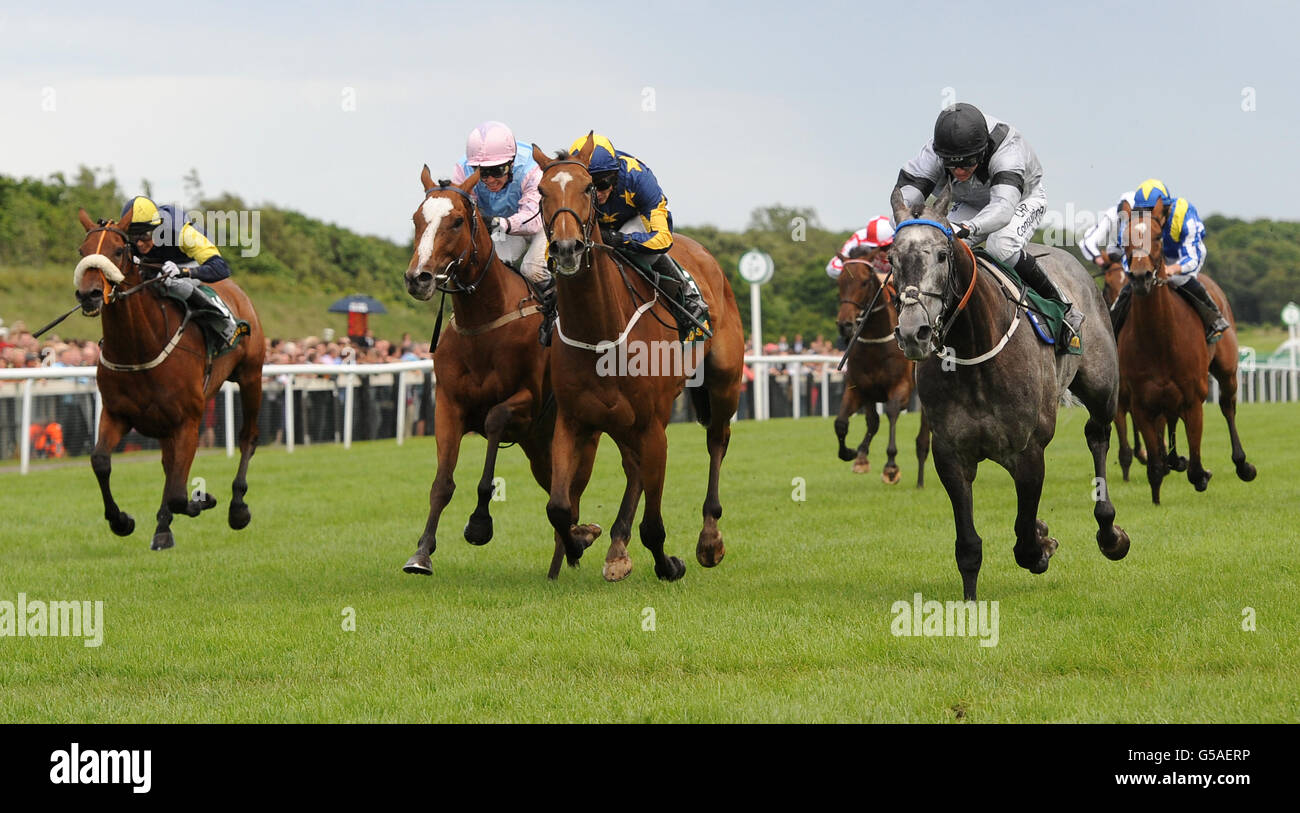 Horse Racing - 2012 John Smiths piastra Northumberland giorno - Newcastle Racecourse Foto Stock