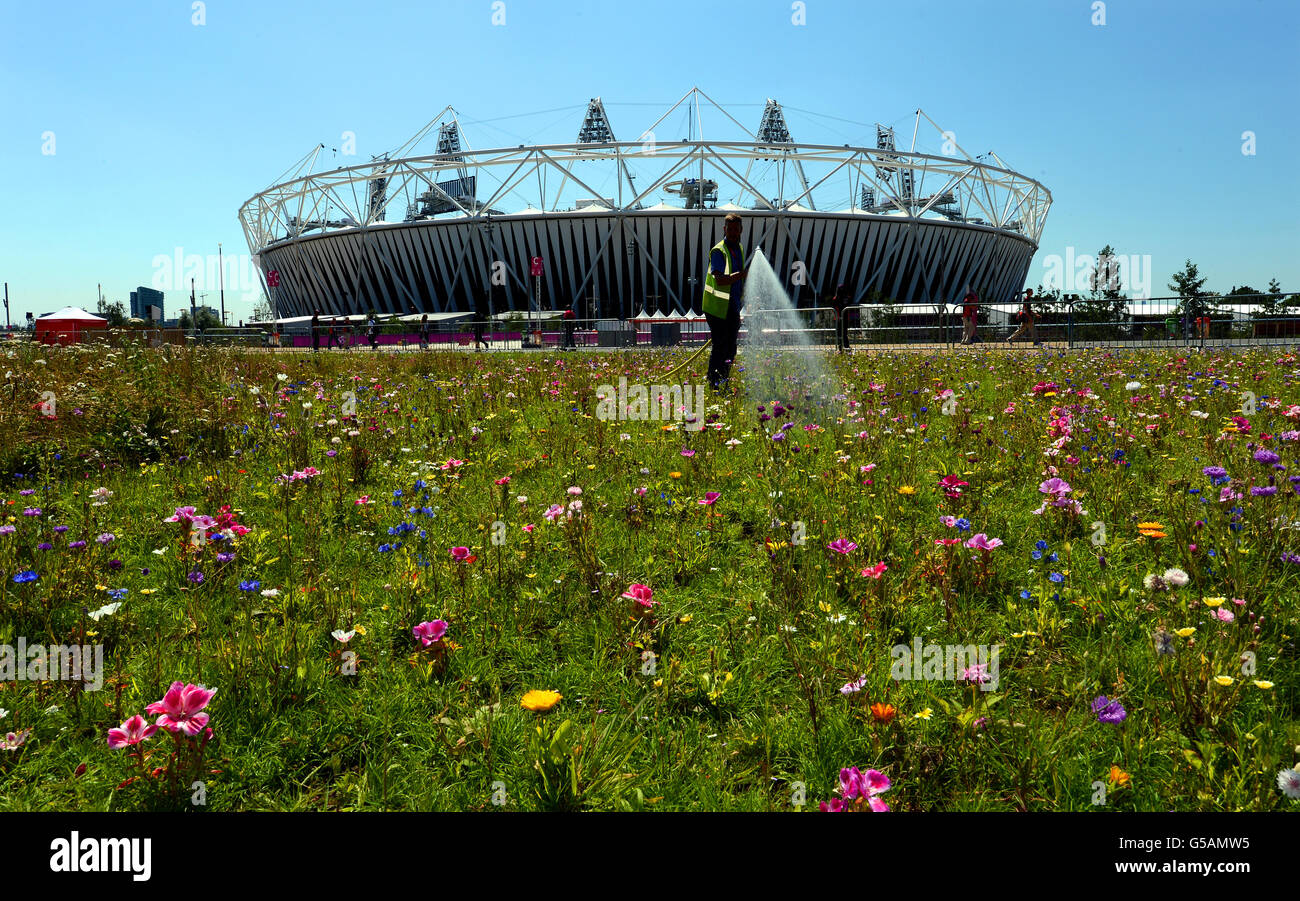 Lavoratori acqua erba fuori dello Stadio Olimpico nel Parco Olimpico di Stratford, Londra est, mentre i preparativi per le Olimpiadi di Londra 2012 continuano. Foto Stock