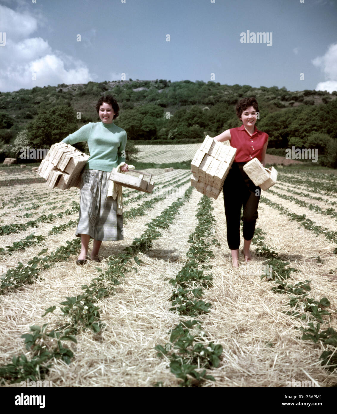 Due ragazze che si godono la prospettiva di raccolta di fragole vicino alla città Somerset di Cheddar. Parte di Mendip può essere visto in background. Foto Stock