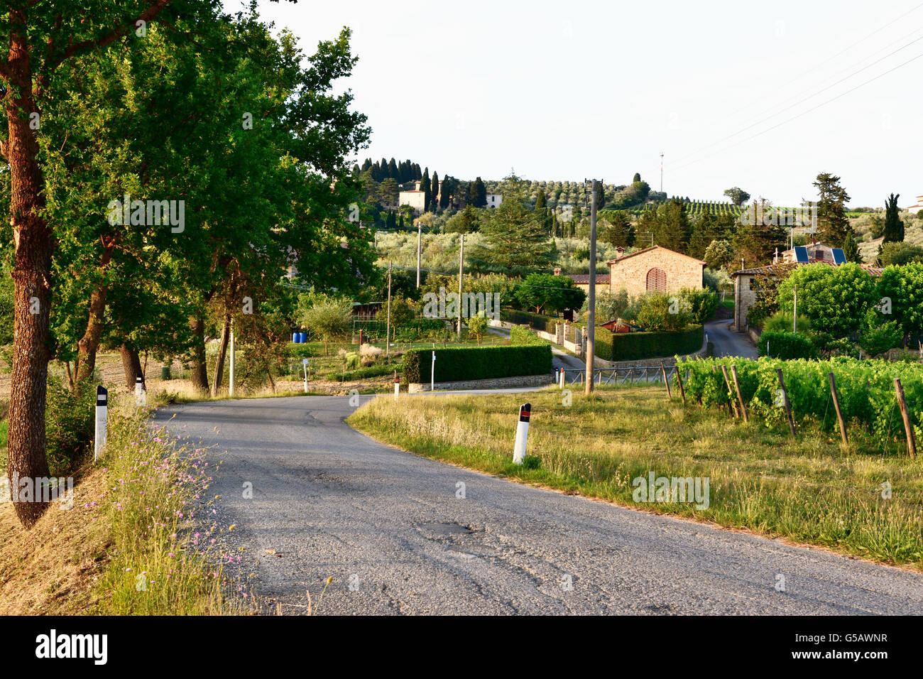 Campagna Toscana. San Giorgio, Poggibonsi, Siena, Toscana, Italia, Europa Foto Stock