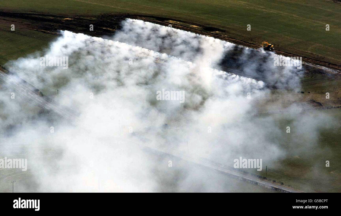 Pire continuano a Burning a Longtown, Cumbria, 26 marzo 2001, mentre la crisi dell'afta epizootica continua. Un appello mondiale per i veterinari è andato fuori mentre il governo ha annunciato i programmi per accelerare il cull dell'afta epizootica. Foto Stock