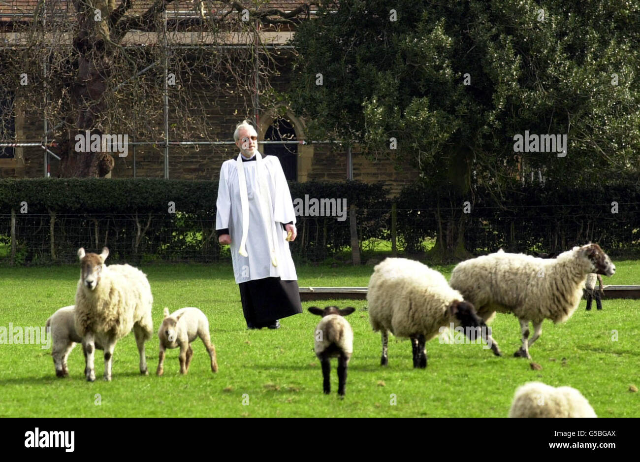 Il Rev. John Roden, Vicario di Appleton Roebuck e Acaster Selby, attraversa il campo alla sua Chiesa. I servizi della Chiesa di Pasqua saranno probabilmente colpiti nelle aree di Cumbria, dove l'accesso a numerose Chiese è stato chiuso a causa dell'epidemia di afta epizootica. * le Congregazioni a tutti i servizi pasquali dovranno seguire le procedure disinfettanti. Foto Stock