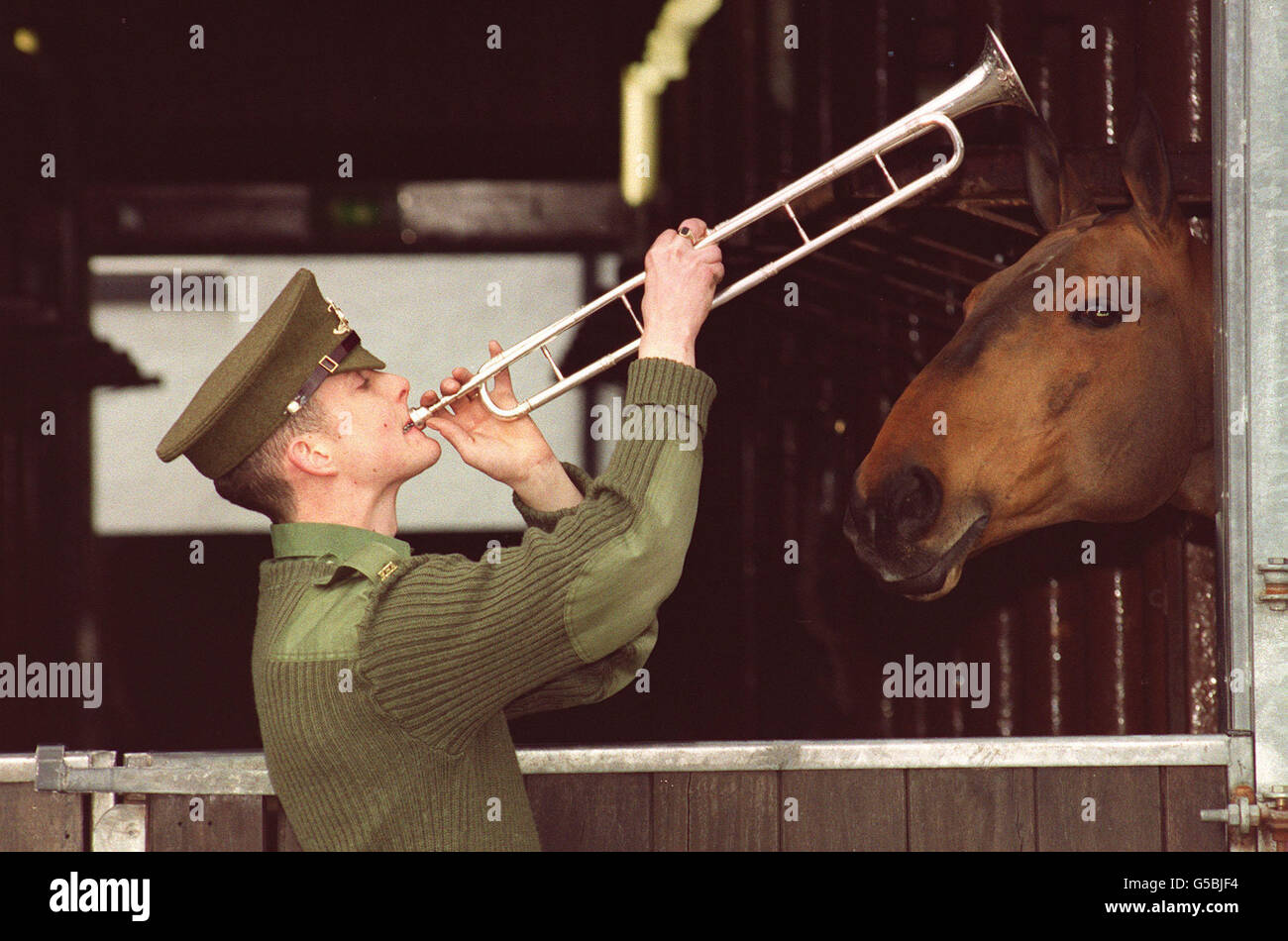 Re della truppa cavallo Royal Artillery Foto Stock