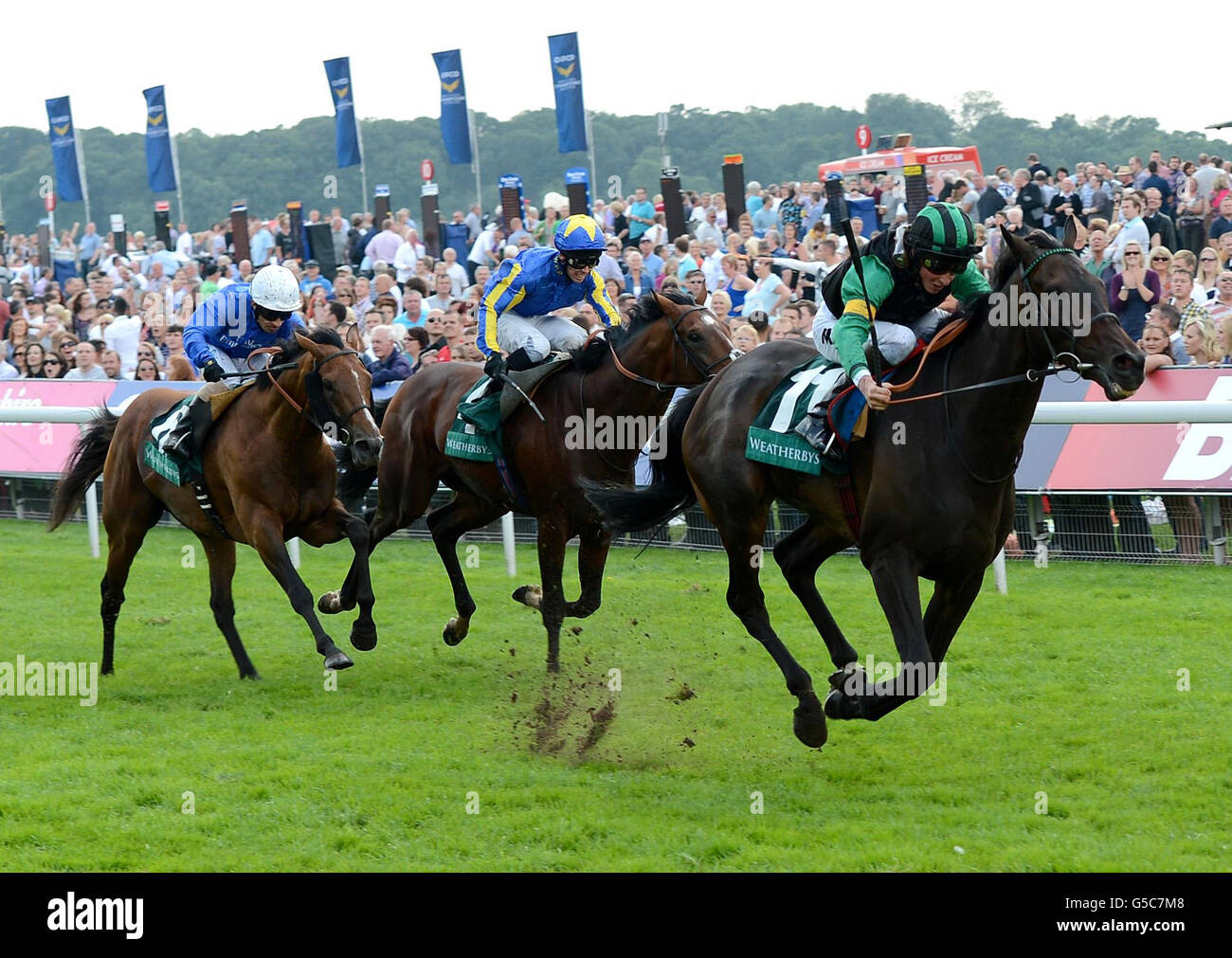 Horse Racing - Ebor Festival 2012 - Betfred Ebor giorno - York Racecourse Foto Stock