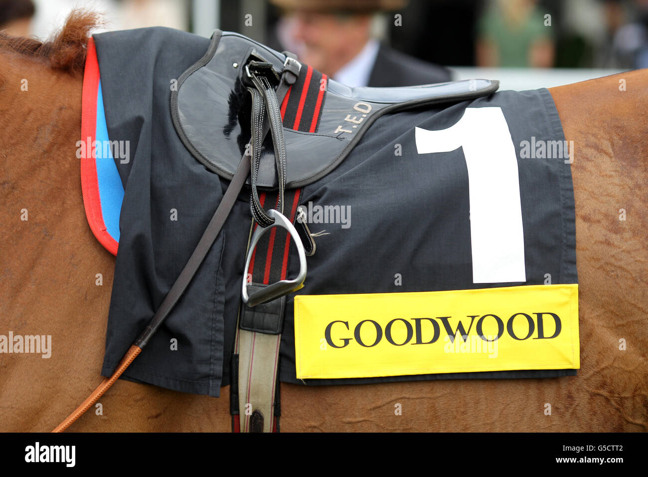 Corse ippiche - 2012 Glorious Goodwood Festival - QIPCO Sussex Stakes - Goodwood Racecourse. Vista dettagliata di un cavallo Foto Stock