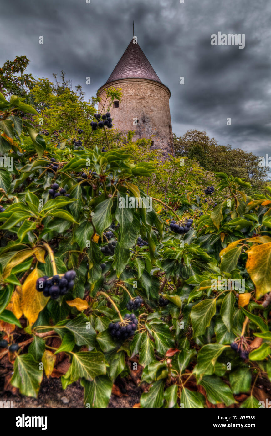 Torre della Polvere di Krems, regione di Wachau, Foresta trimestre, Austria Inferiore, Austria, Europa Foto Stock