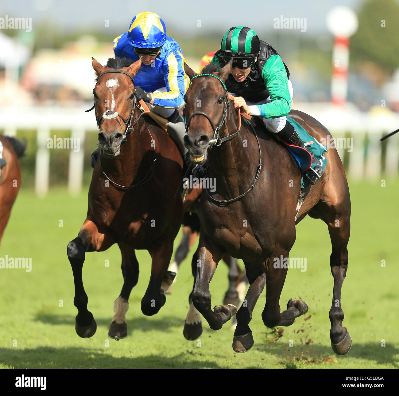 Horse Racing - 2012 Ladbrokes St Leger Festival - La Stobart Doncaster Cup giorno - Doncaster Racecourse Foto Stock